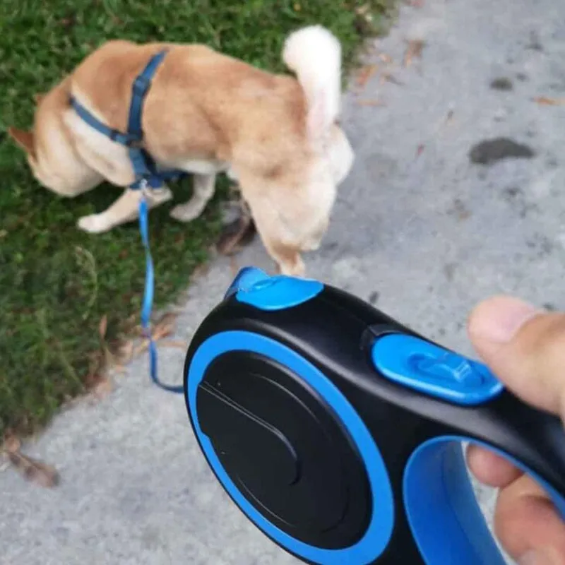 5M  Dog Walking Leads Extension