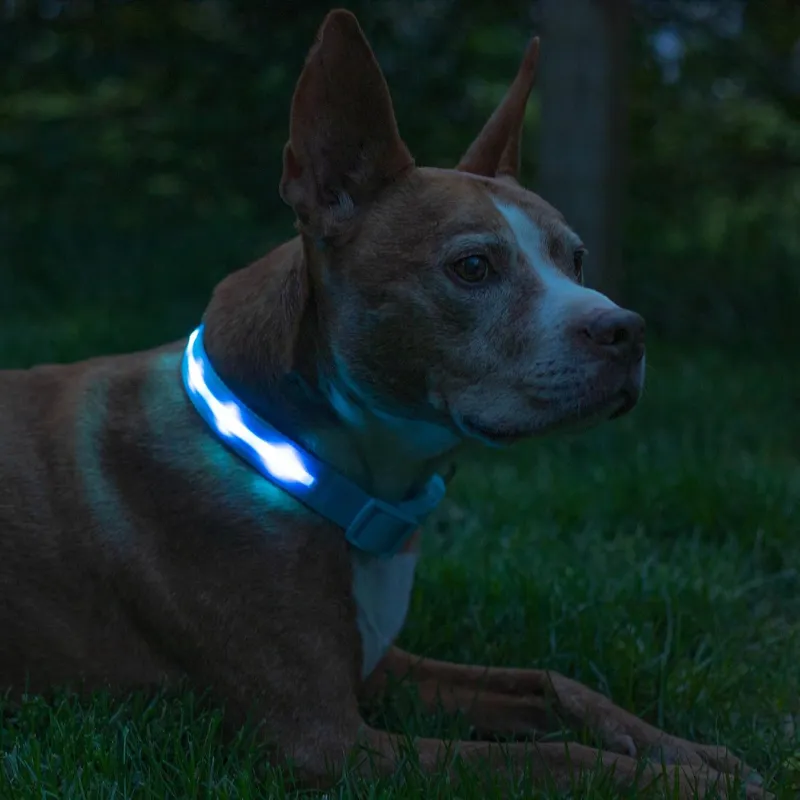 Adjustable Strap Design Dog Leash