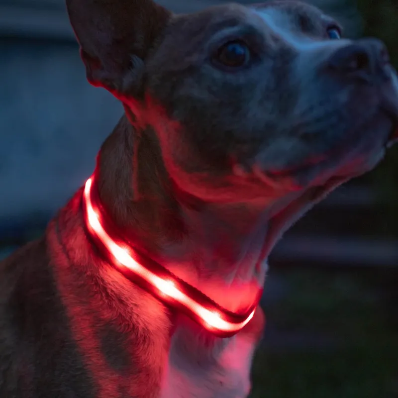 Adjustable Strap Design Dog Leash