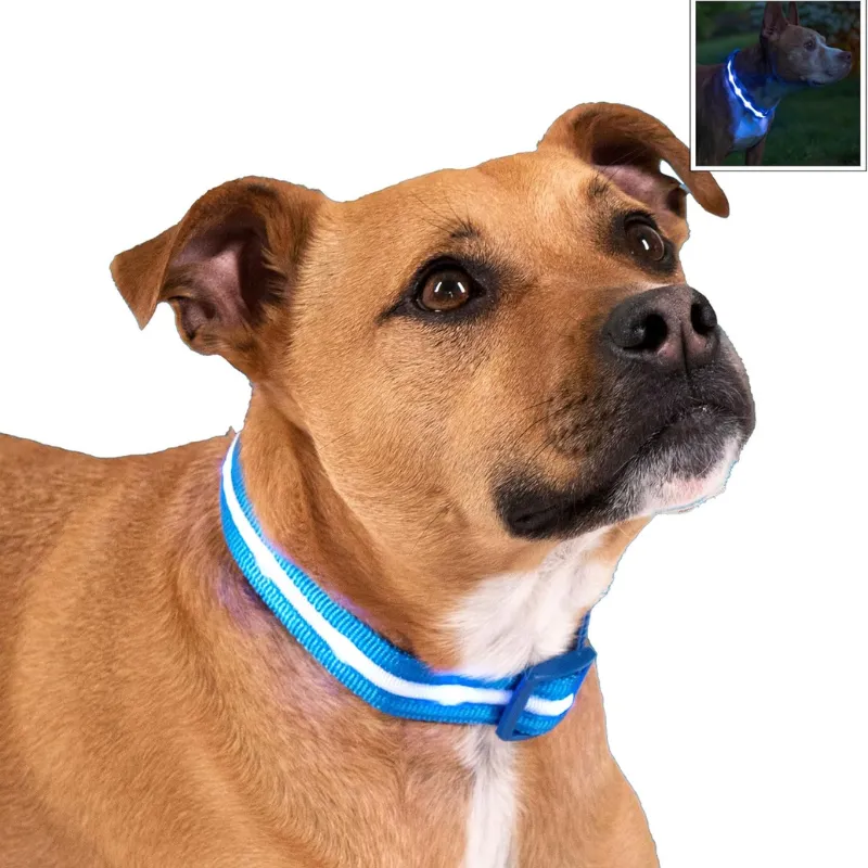Adjustable Strap Design Dog Leash