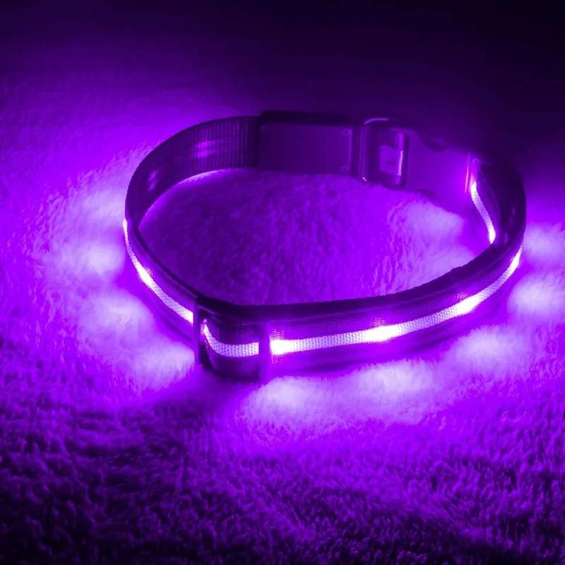 Adjustable Strap Design Dog Leash
