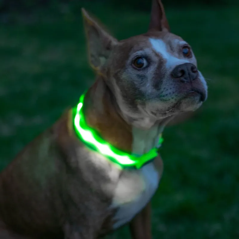 Adjustable Strap Design Dog Leash