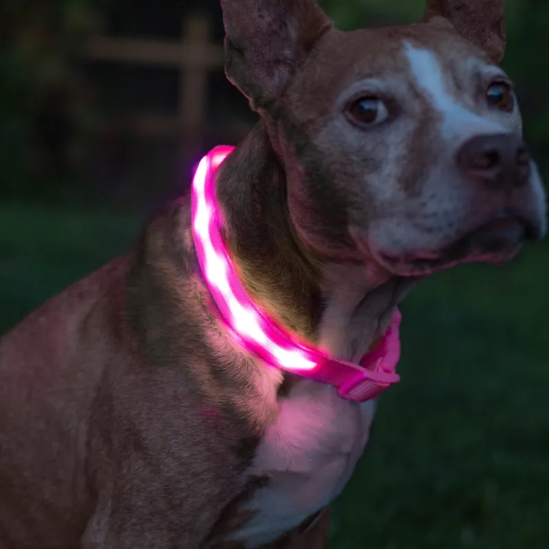 Adjustable Strap Design Dog Leash