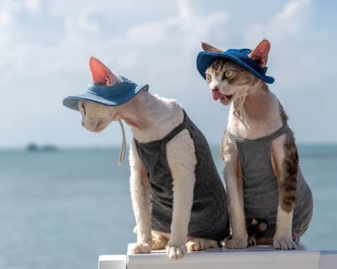 Adjustable Travel Sunscreen Cat Hat