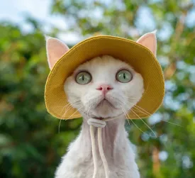 Adjustable Travel Sunscreen Cat Hat