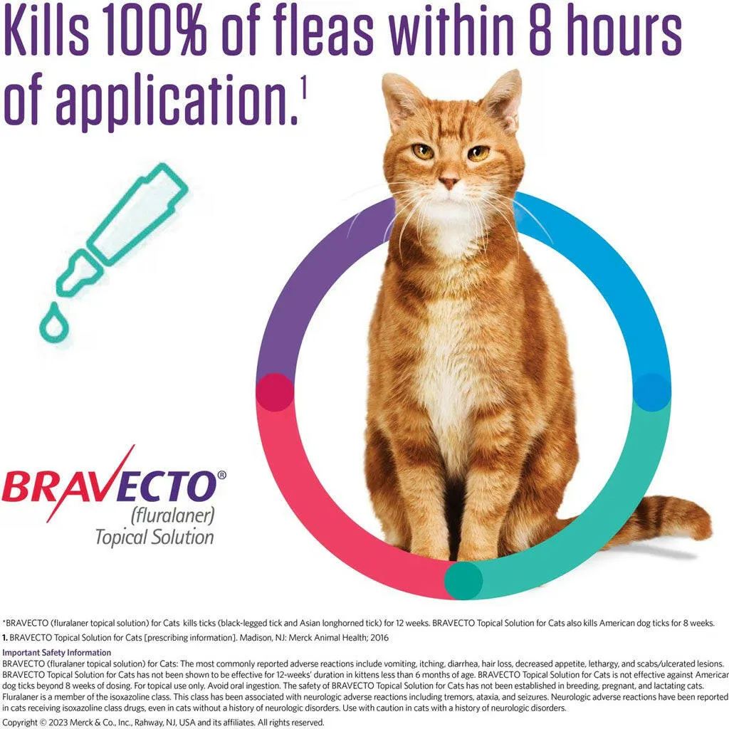 Bravecto Topical Solution for Cats 13.8-27.5 lbs