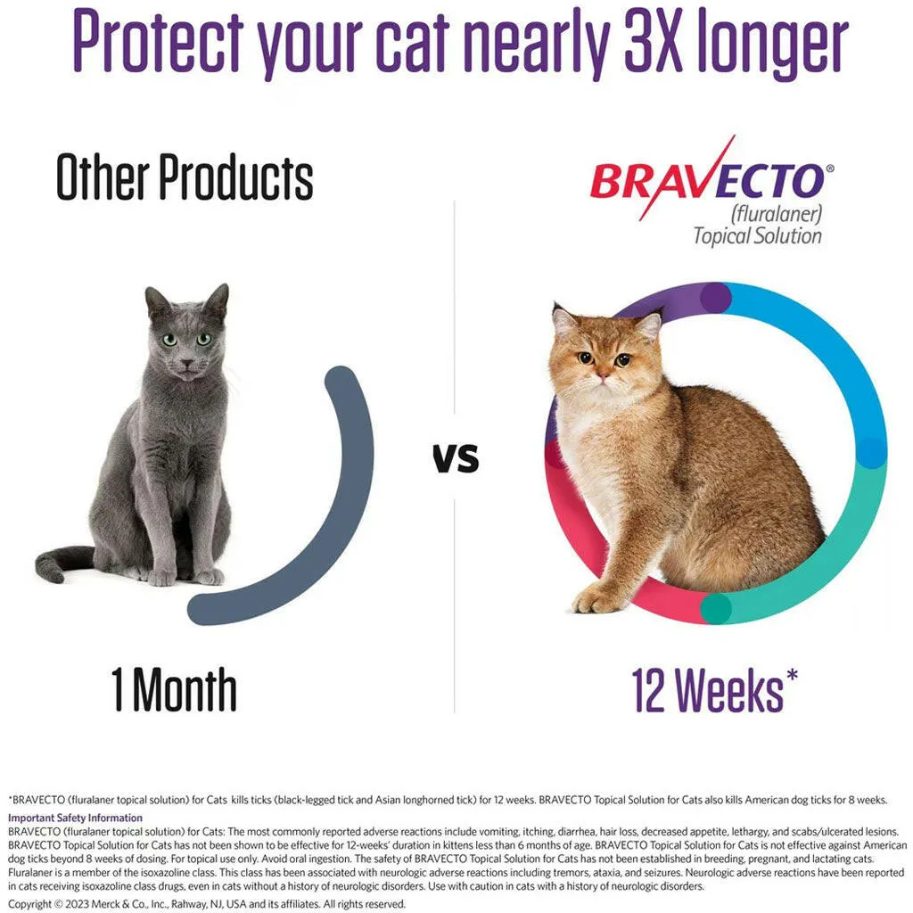 Bravecto Topical Solution for Cats 13.8-27.5 lbs