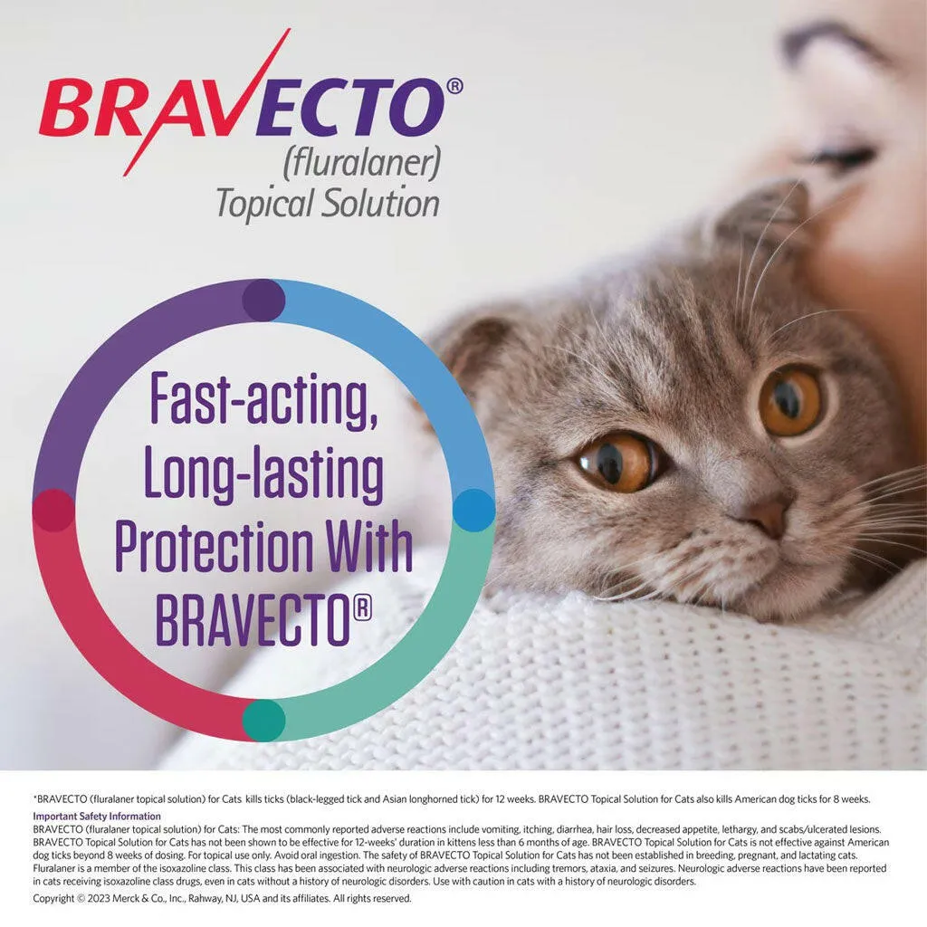 Bravecto Topical Solution for Cats 13.8-27.5 lbs