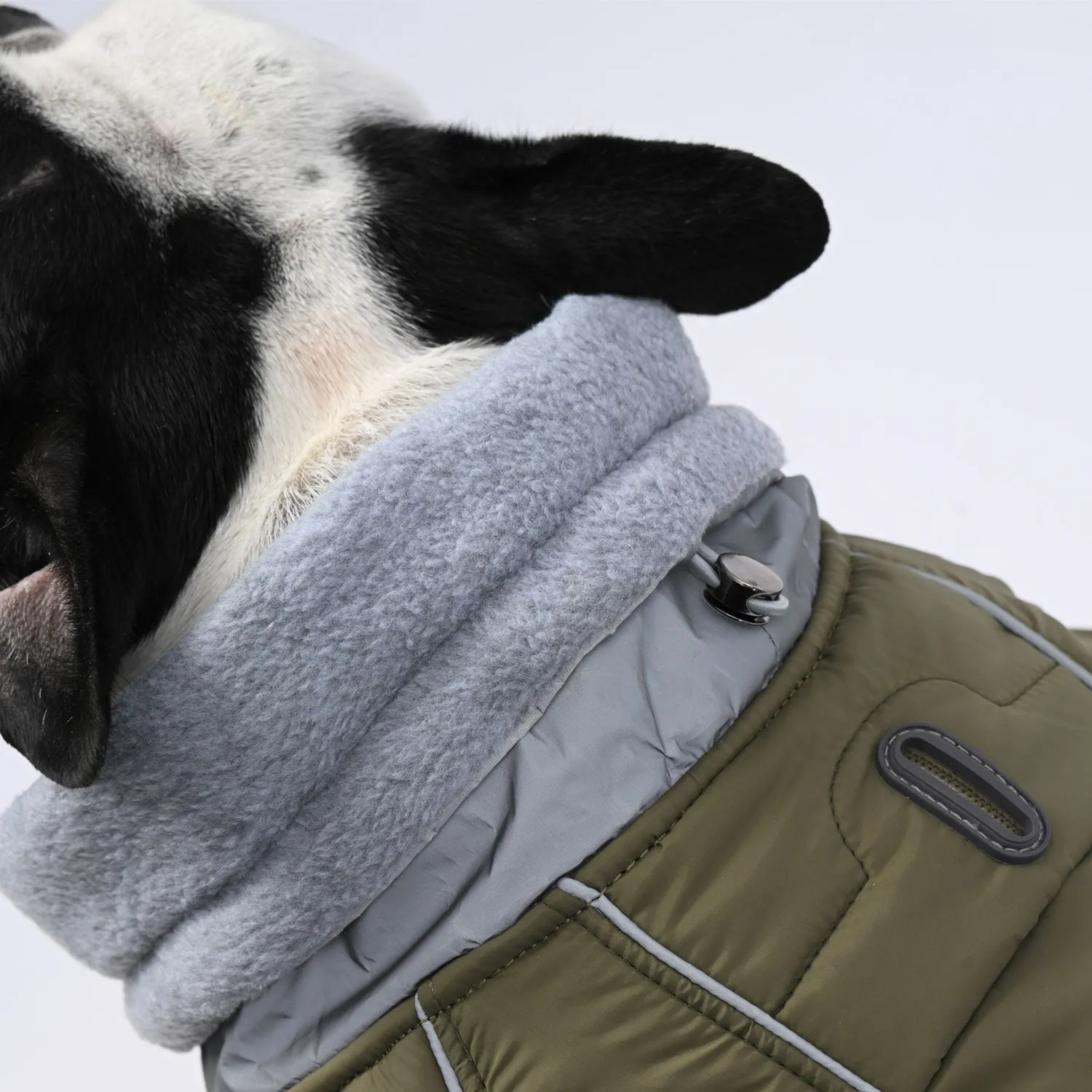 ChillElite Frenchie Luxury Winter Jacket
