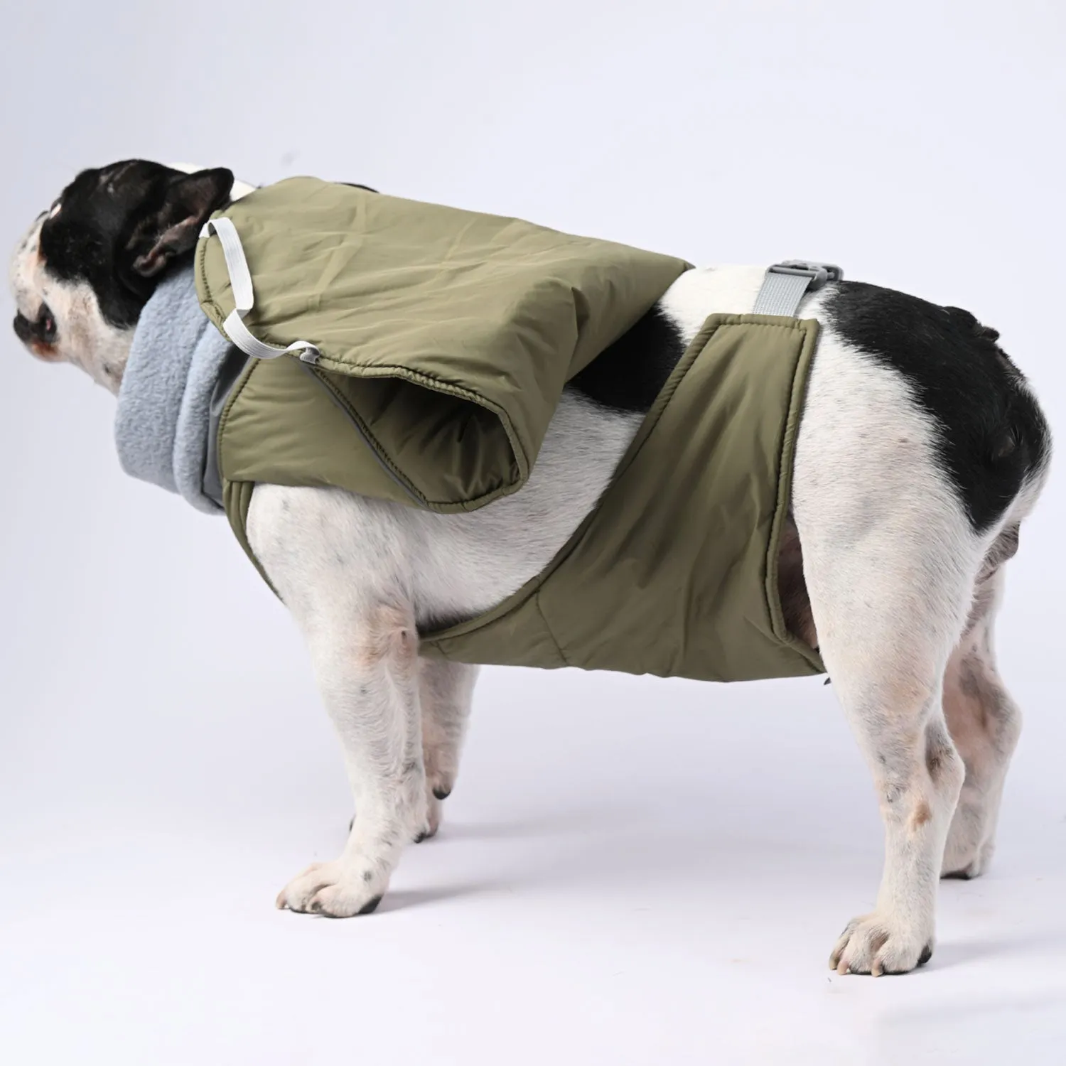 ChillElite Frenchie Luxury Winter Jacket