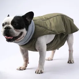 ChillElite Frenchie Luxury Winter Jacket