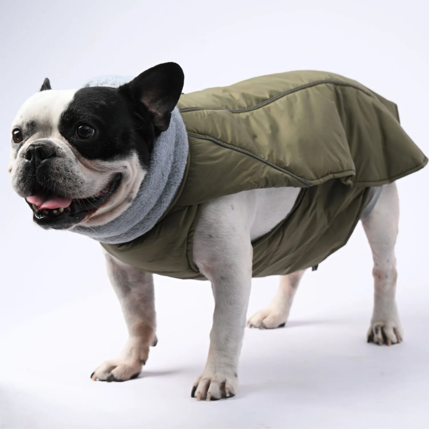 ChillElite Frenchie Luxury Winter Jacket