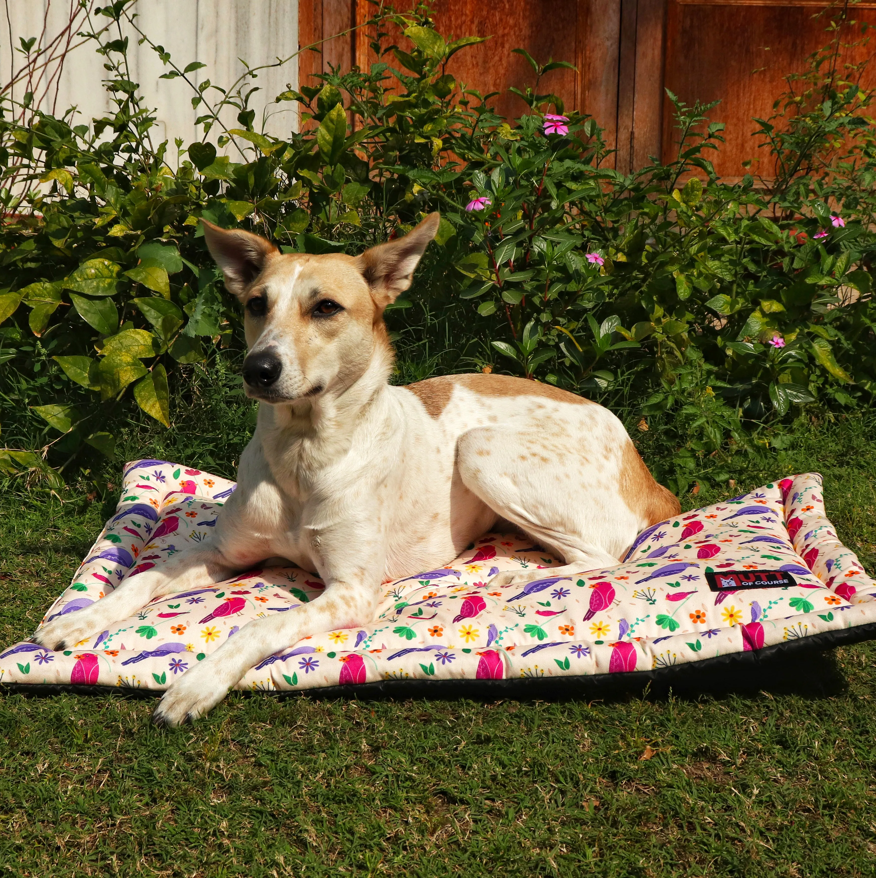 Chirpy Chirps Mat