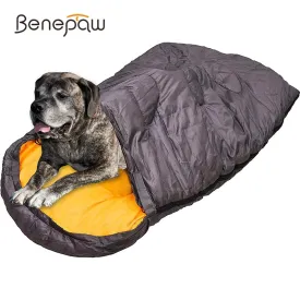 Cozy Dog Sleeping Bag Backpacking