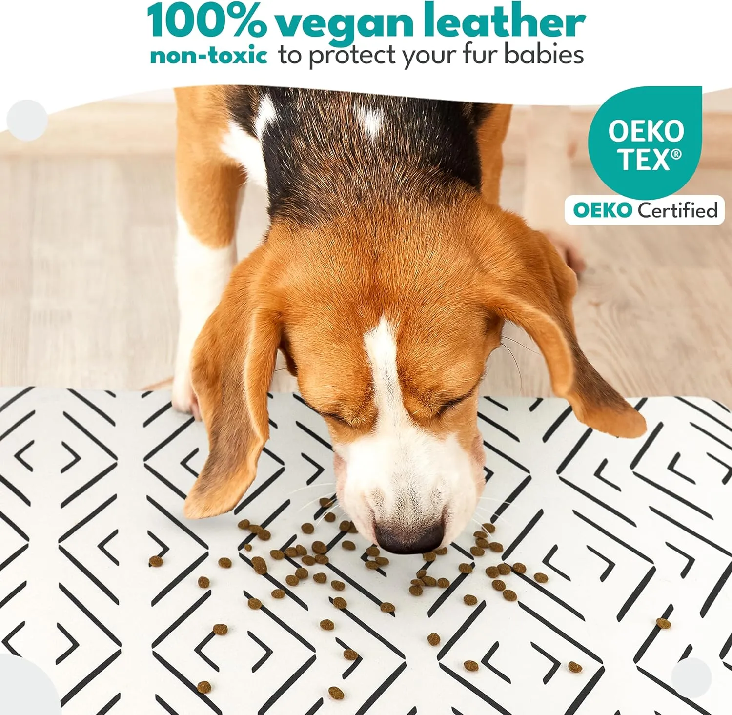 Crossed the Line Pet Food Mat