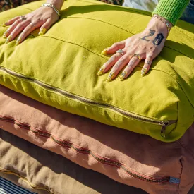 Cushion