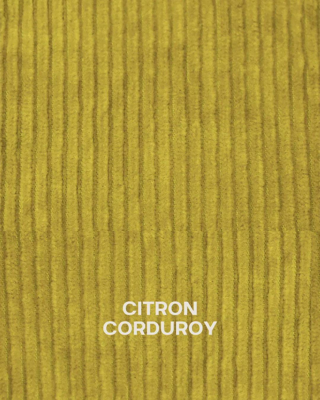 Cushion