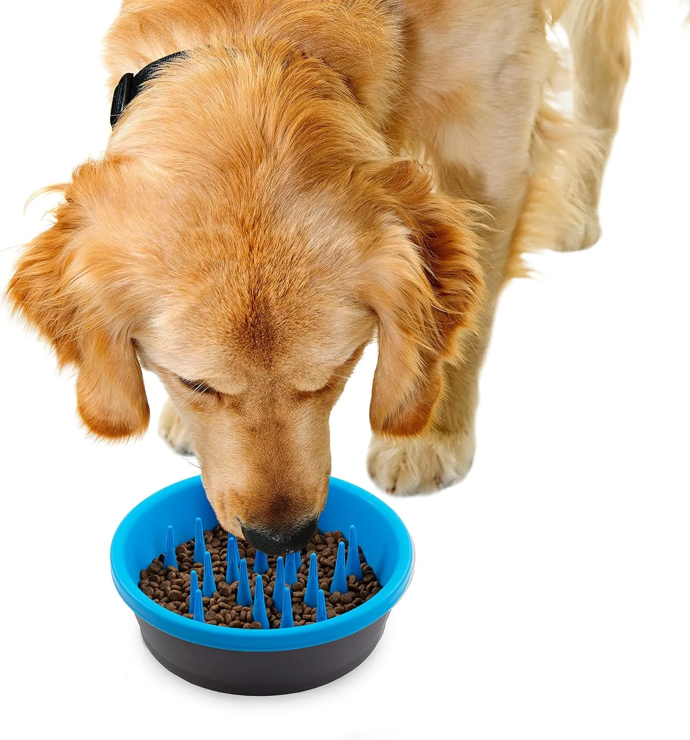 Dexas Slow Feeder Dog Bowl for Healthier Digestion, Teeth and Gums, 6 Cup Capacity, Gray and Blue