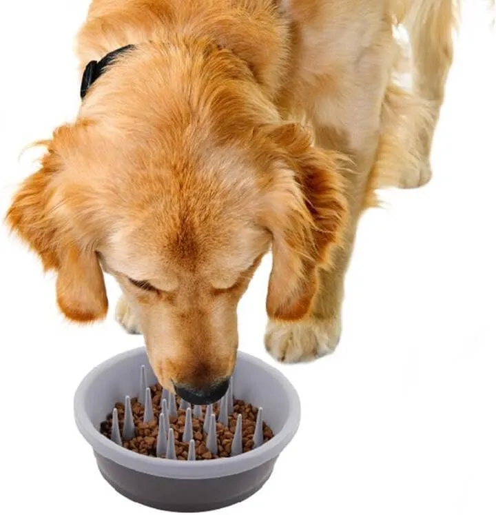 Dexas Slow Feeder Dog Bowl for Healthier Digestion, Teeth and Gums, 6 Cup Capacity, Gray