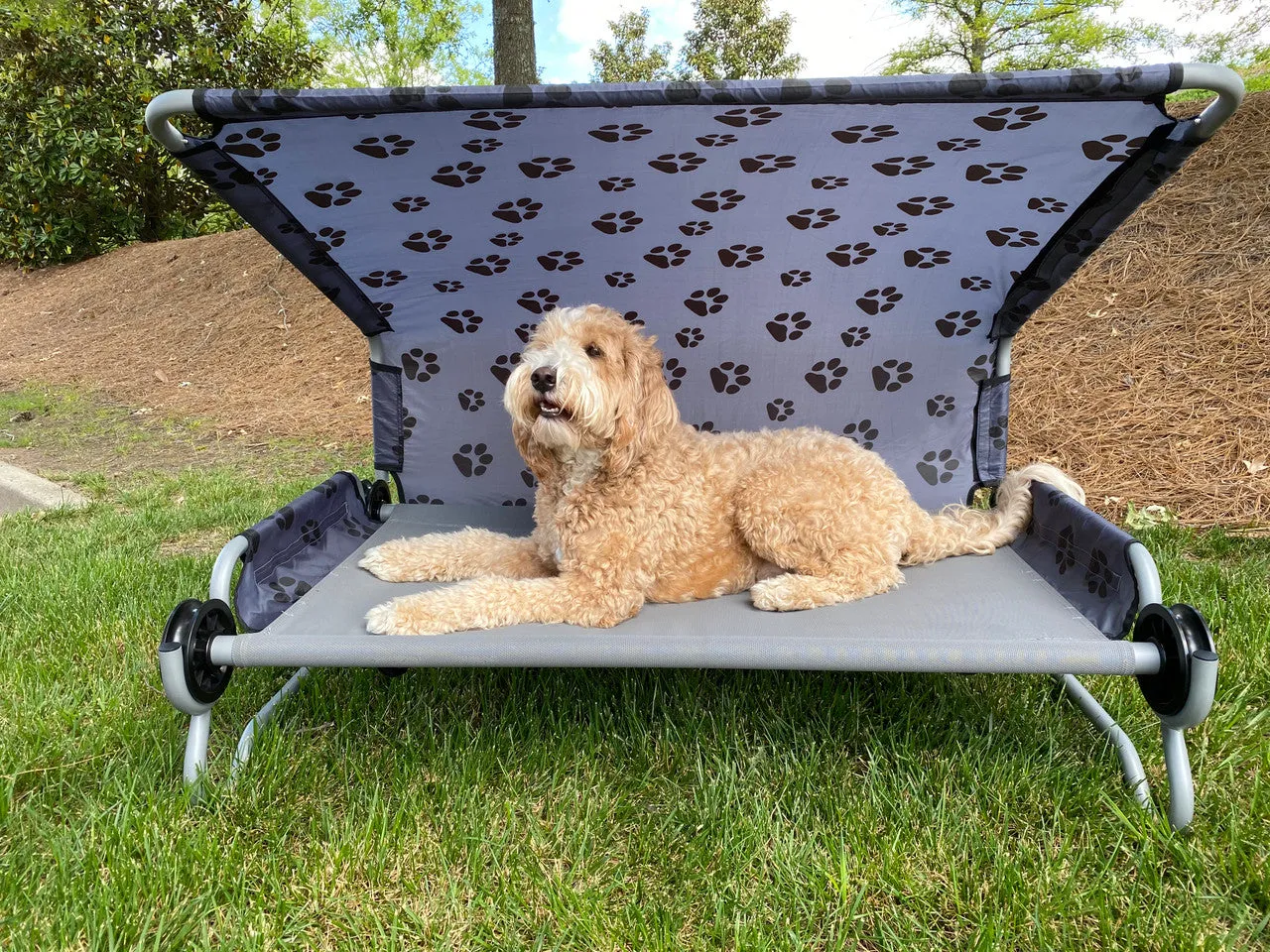 Disc-O-Bed Dog Bed