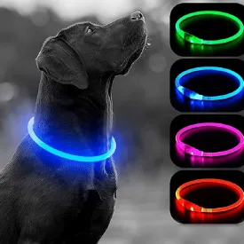 Dog glow collar