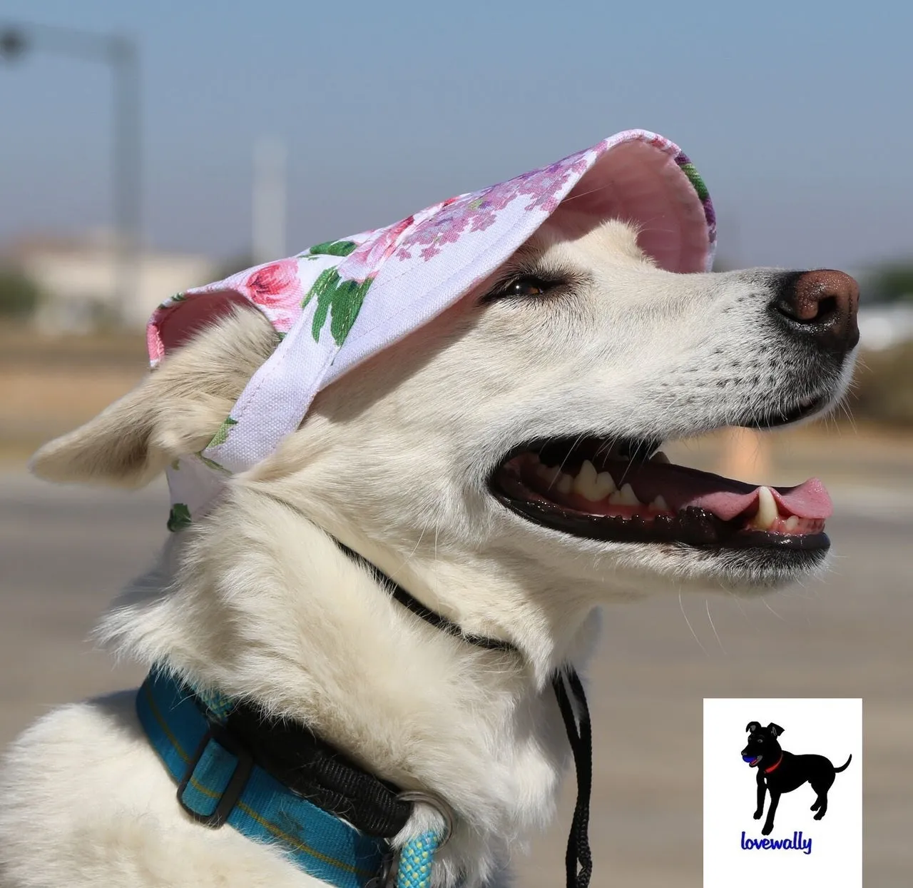 Dog Outdoor Adventure Gear Embroidered Pet Hat LoveWally Adjustable