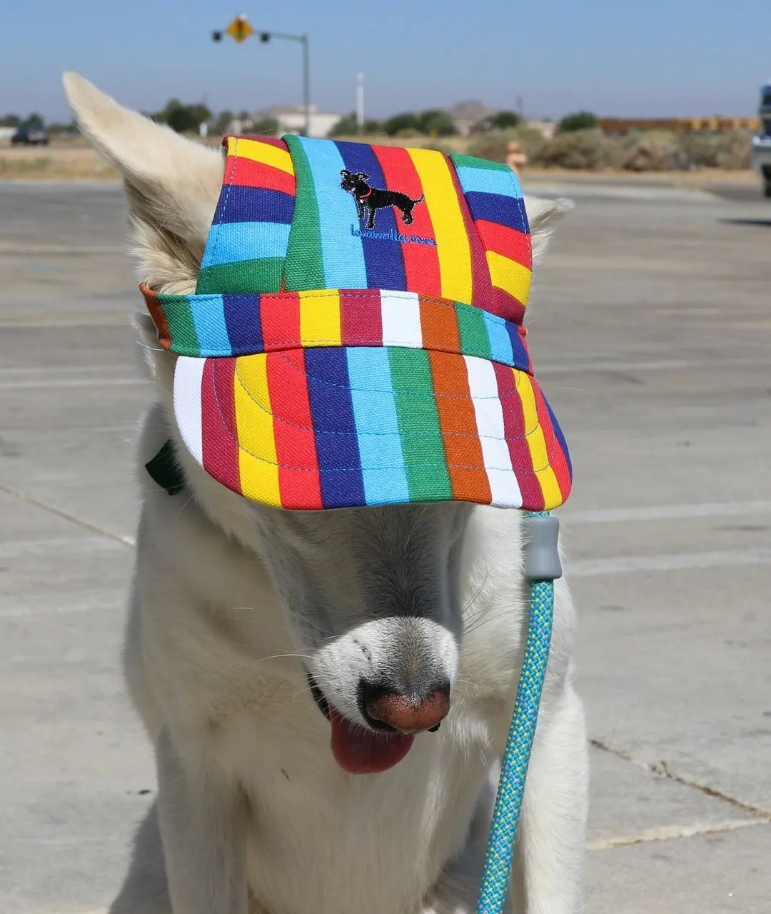 Dog Outdoor Adventure Gear Embroidered Pet Hat LoveWally Adjustable