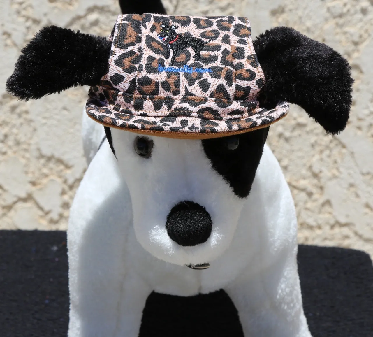 Dog Outdoor Adventure Gear Embroidered Pet Hat LoveWally Adjustable