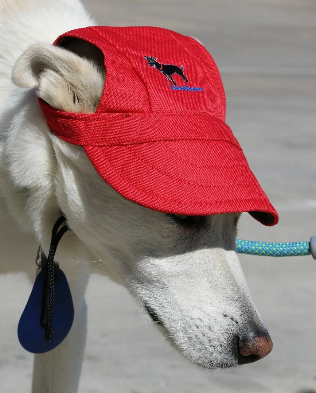 Dog Outdoor Adventure Gear Embroidered Pet Hat LoveWally Adjustable