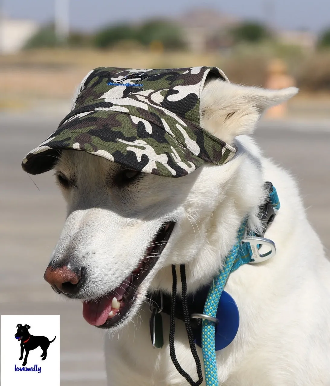 Dog Outdoor Adventure Gear Embroidered Pet Hat LoveWally Adjustable