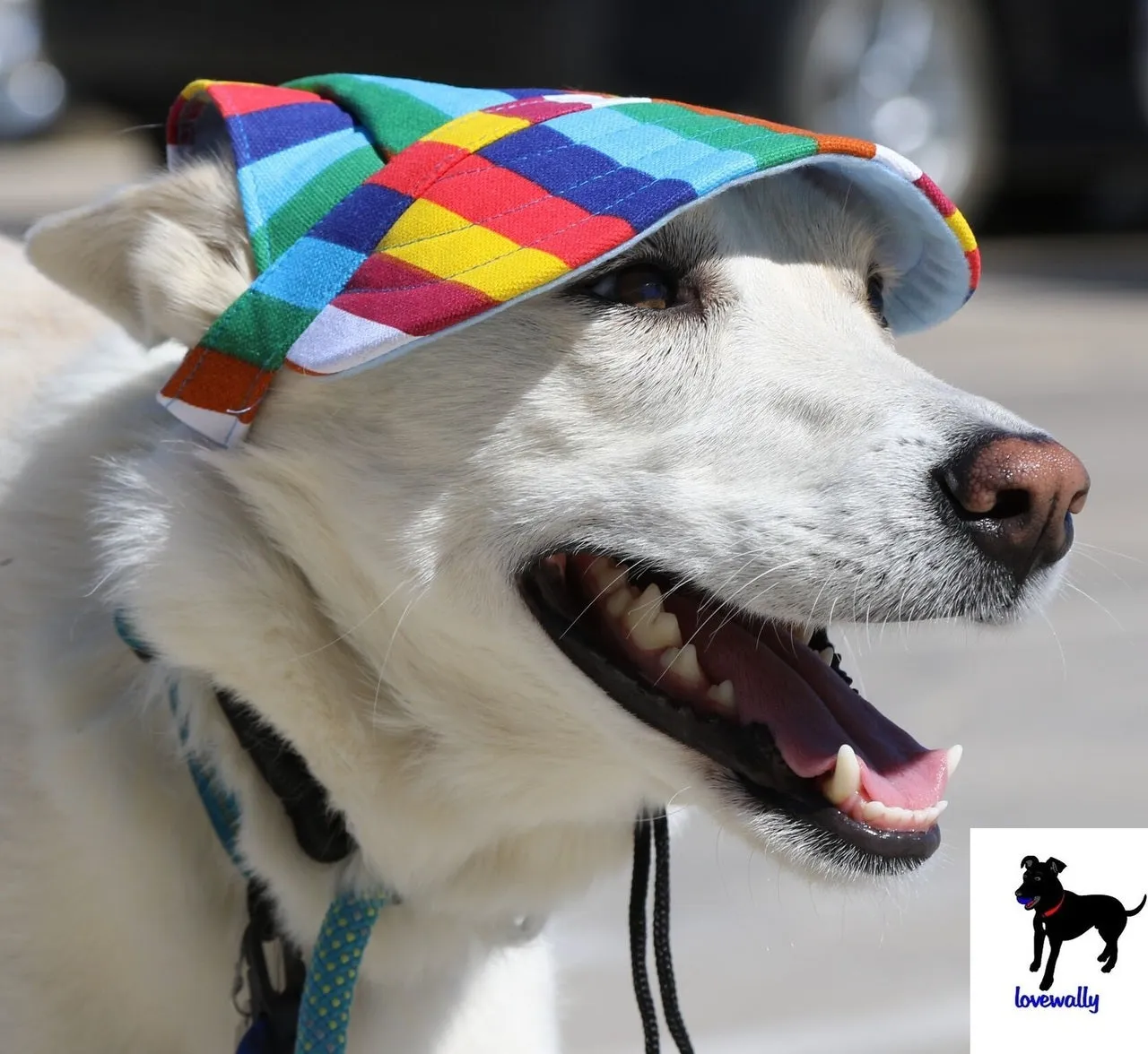 Dog Outdoor Adventure Gear Embroidered Pet Hat LoveWally Adjustable