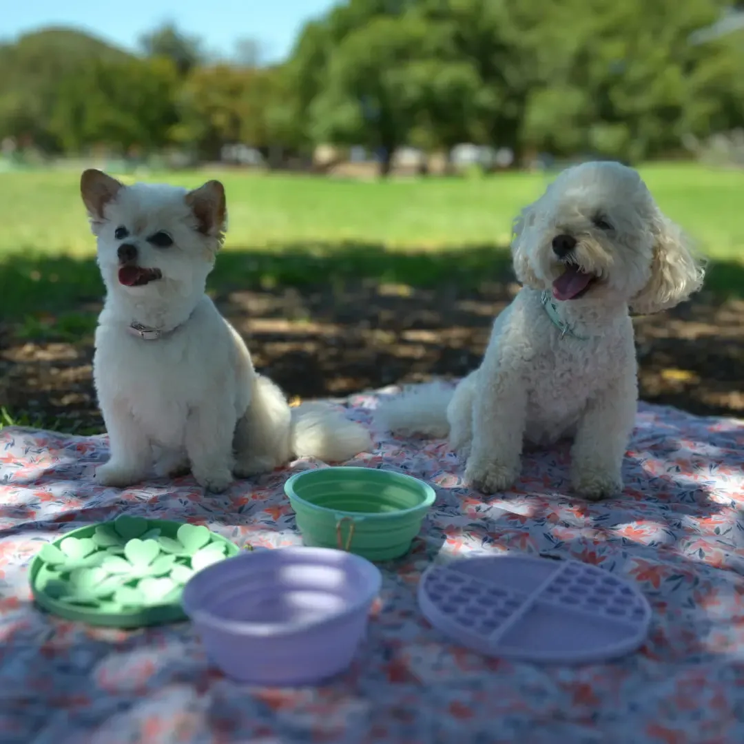 DOGUE Slow Feeder Dog Puzzle
