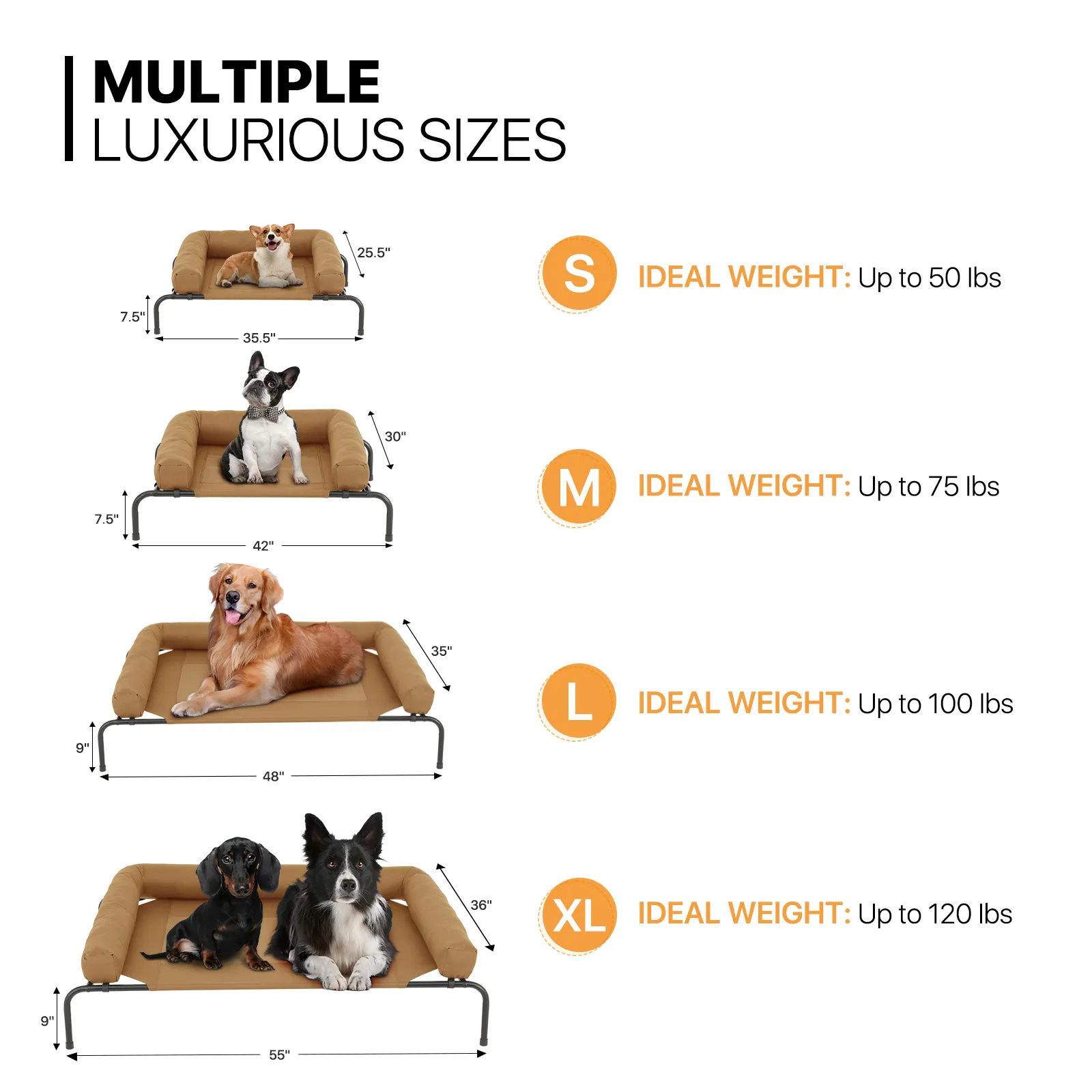 Elevated Dog Bed - w/ Removable Bolster - 42'' Length