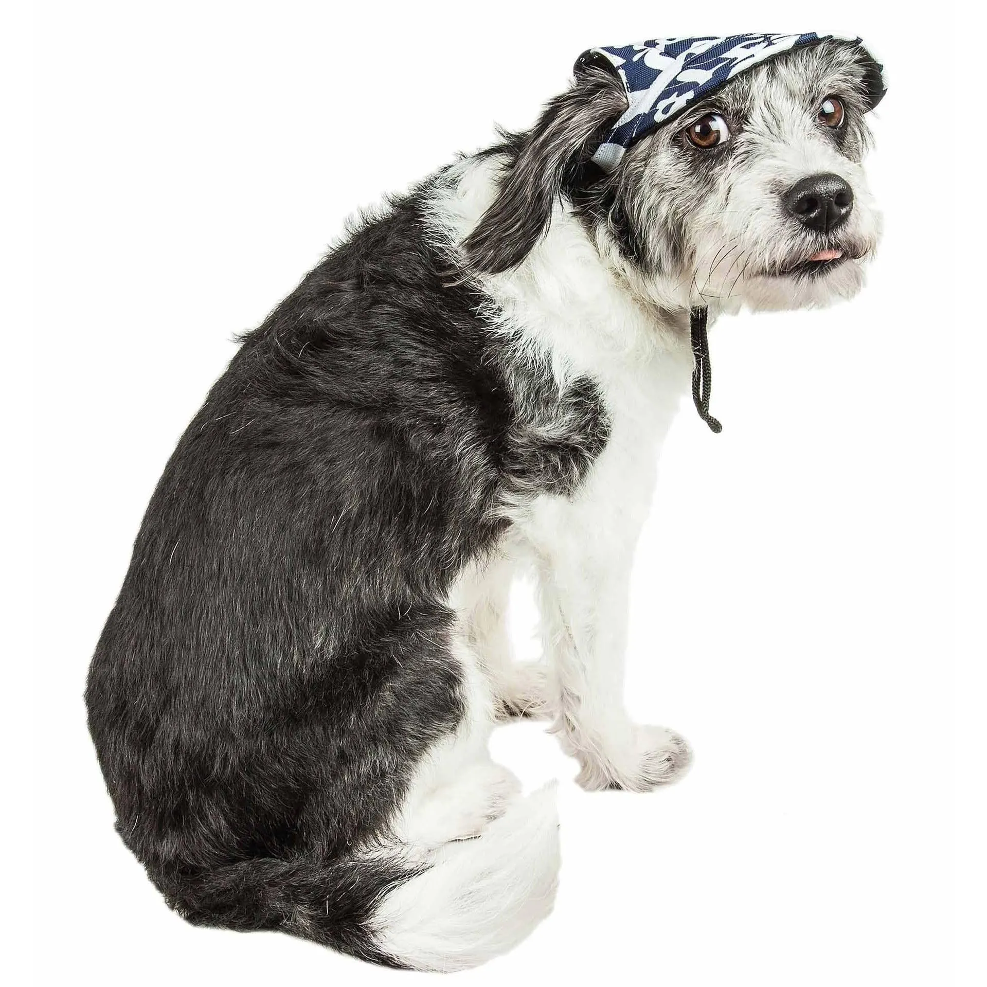 Graffiti Dog Hat with UV Protection Extras