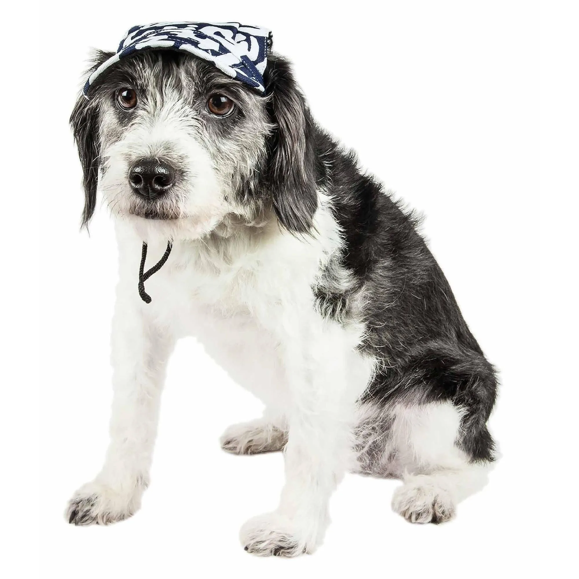 Graffiti Dog Hat with UV Protection Extras
