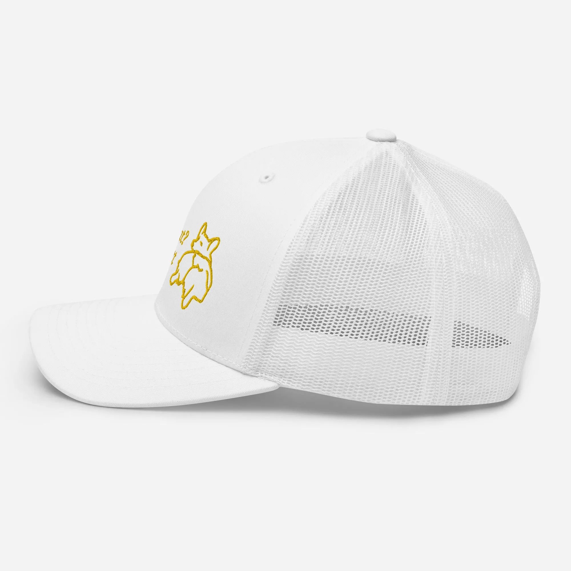 Guess What Corgi Butt Mesh Baseball Hat