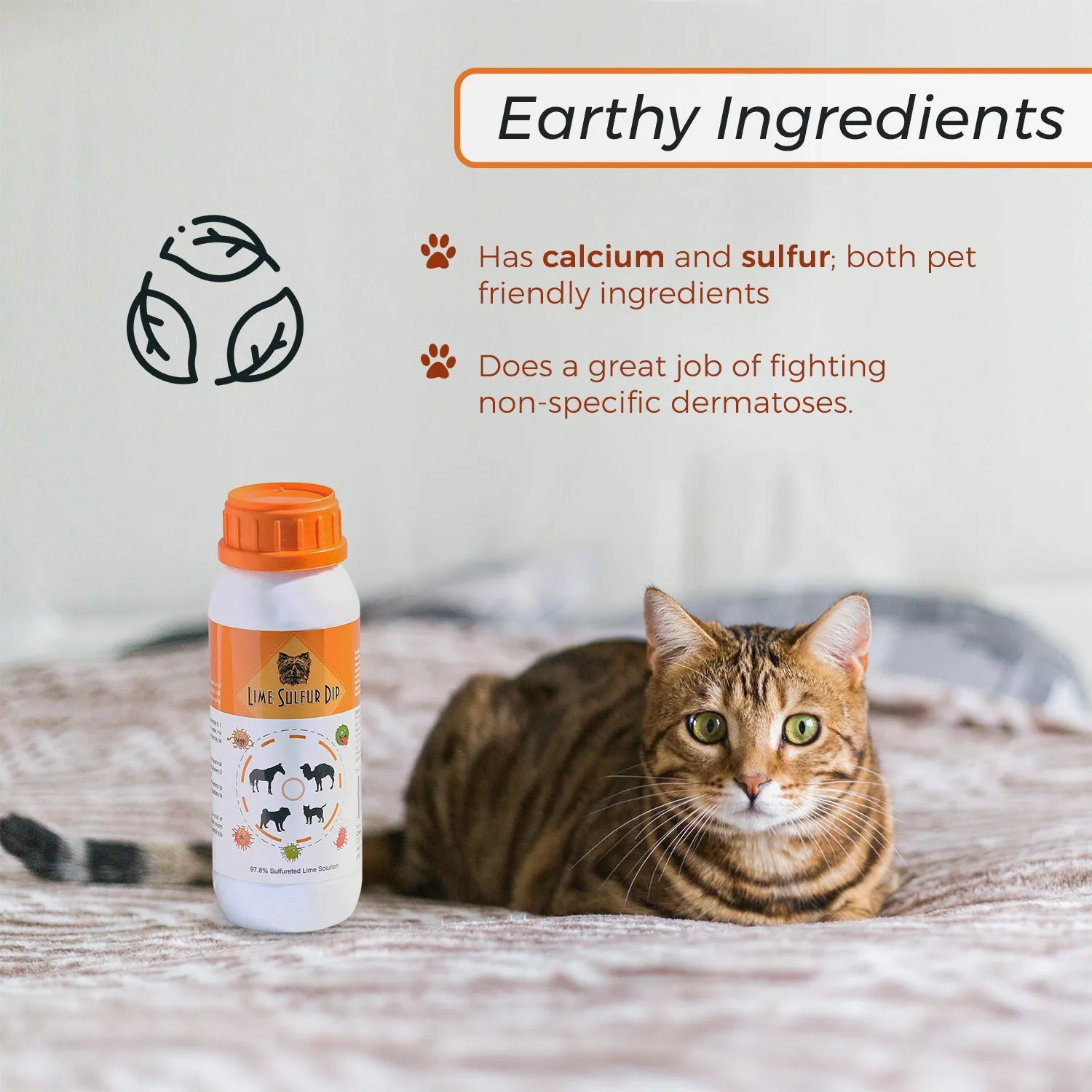 Healthy Paw Life: Lime Sulfur Dip - Pet Care for Itchy and Dry Skin - Xtra Strength Formula - Safe Solution for Dog, Cat, Puppy, Kitten, Horse