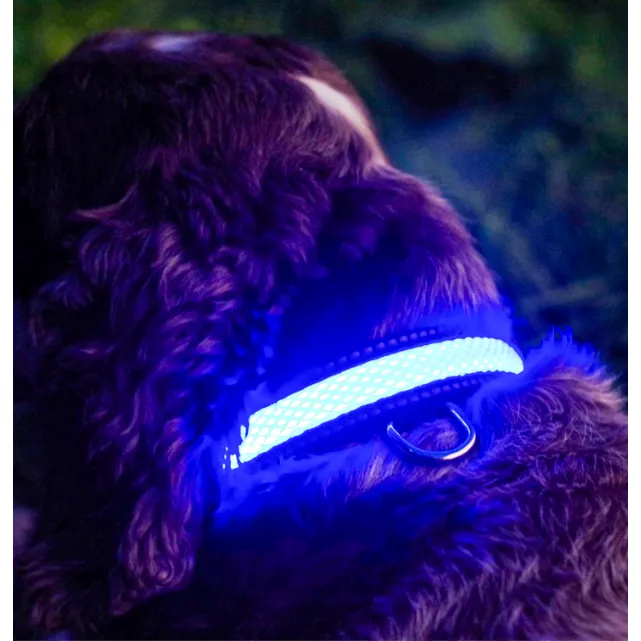 Illuminated Pet Light Up Collar