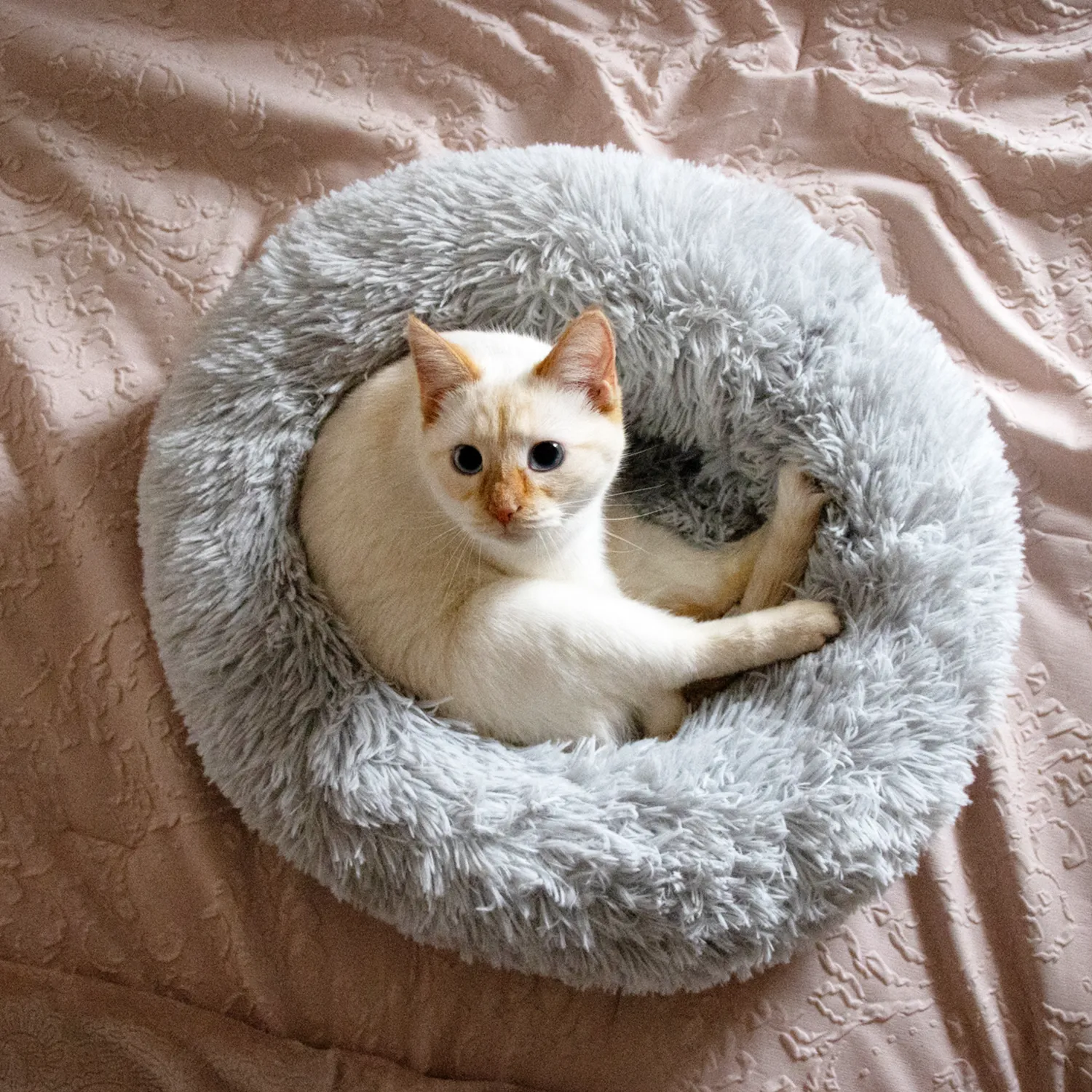 Kitty Kasa Plush Donut Cat Bed