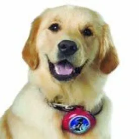 Leash Locket SALE NOW ONLY $4.99