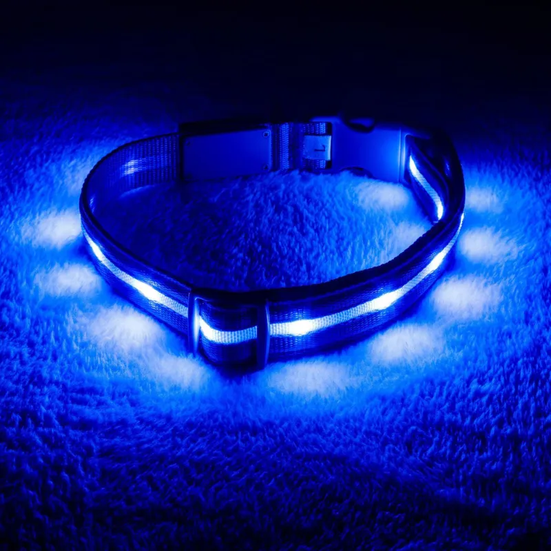LED Enhanced Dog Leash For Training