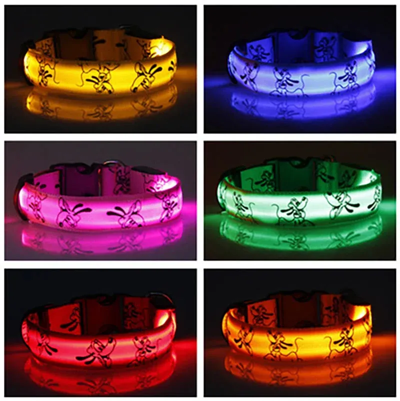LED Safety Dog Collar - Night Visibility & Adjustable
