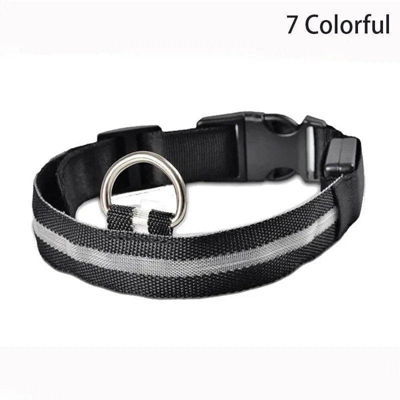 Leopard LED Adjustable Dog Collar - Night Safety Glowing Pet Collar