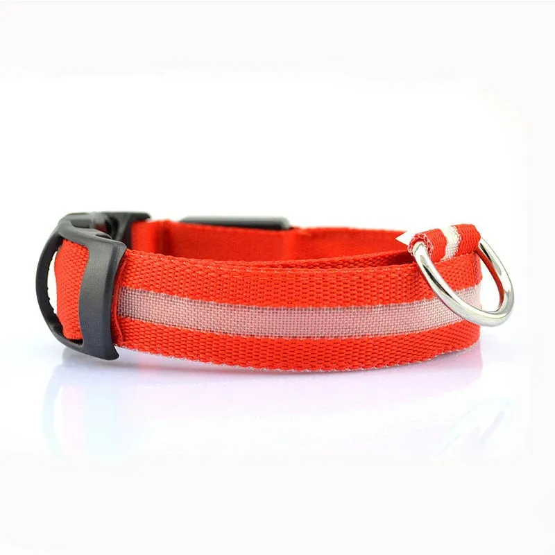 Leopard LED Adjustable Dog Collar - Night Safety Glowing Pet Collar