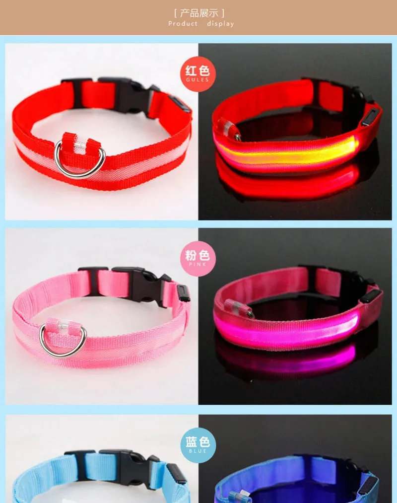 Leopard LED Adjustable Dog Collar - Night Safety Glowing Pet Collar