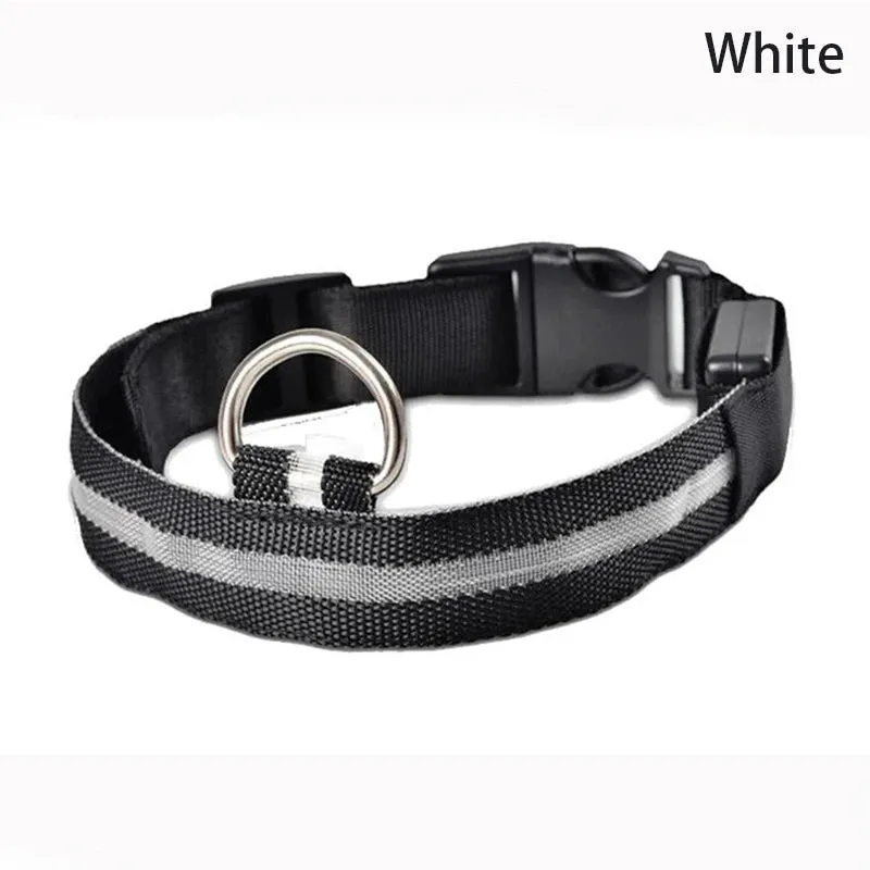 Leopard LED Adjustable Dog Collar - Night Safety Glowing Pet Collar