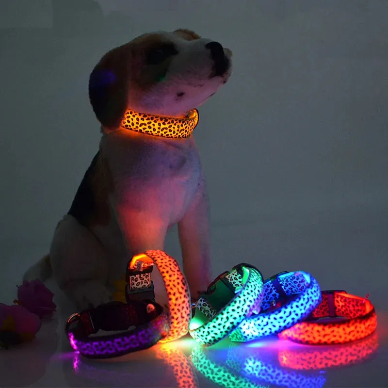 Leopard LED Adjustable Dog Collar - Night Safety Glowing Pet Collar
