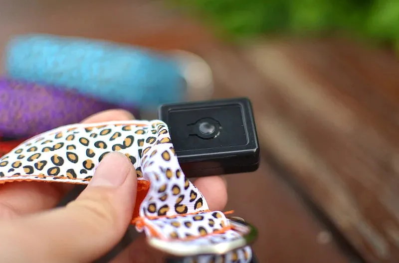 Leopard LED Adjustable Dog Collar - Night Safety Glowing Pet Collar