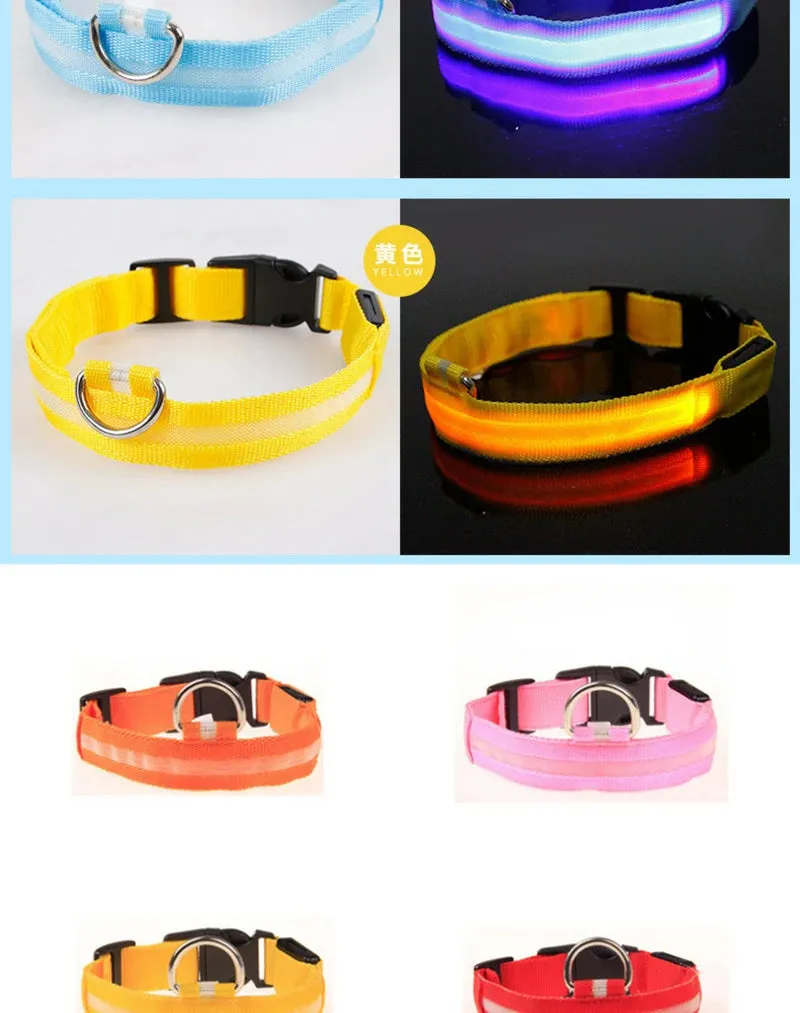 Leopard LED Adjustable Dog Collar - Night Safety Glowing Pet Collar