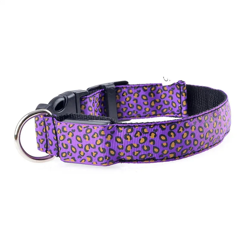Leopard LED Adjustable Dog Collar - Night Safety Glowing Pet Collar